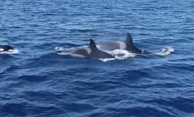 Screen-Shot-2022-12-05-at-14.30.05