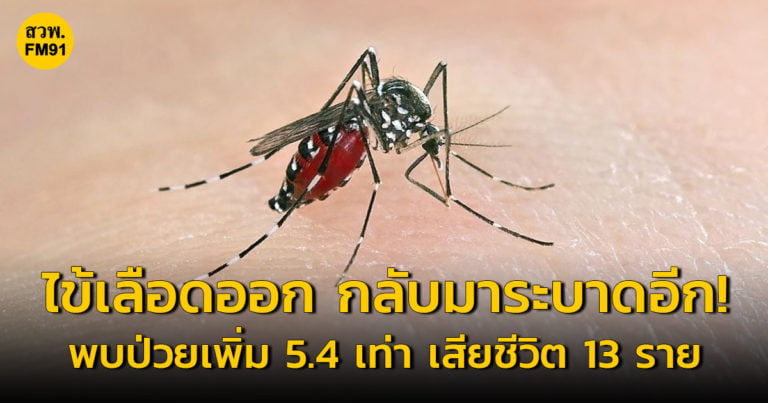 1685079783_1db3192ad46fe6b5e4c0