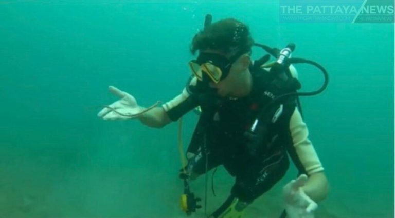 346283684_1184031618952987_3640112525276487515_n-1024x567-1