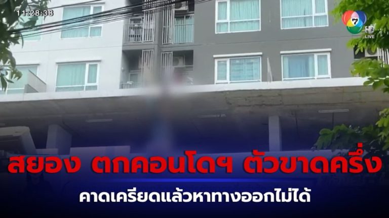 6482ba6e780774.03088239