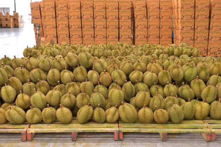 12ea7f5a160594ff493d63efa690a364_small