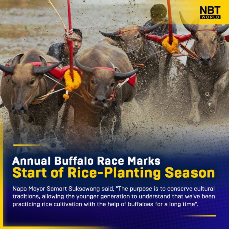 366056913_663655459131921_6356475921519897867_n