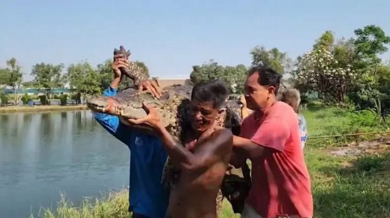 t-04-Crocodiles-escape-from-farm-causing-concern-among-villagers-in-Samut-Sakhon-1