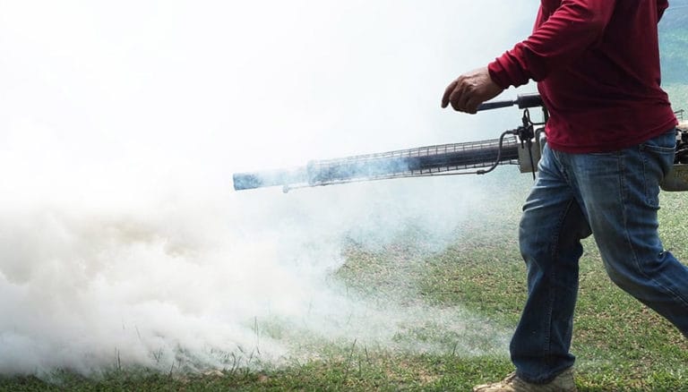 t-12-Thailand-urges-public-to-use-mosquito-repellents-amid-dengue-fever-crisis