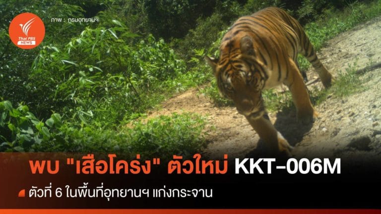 2aYqS0l4EOhseuUiT0LsqHdpkm9EOBPt