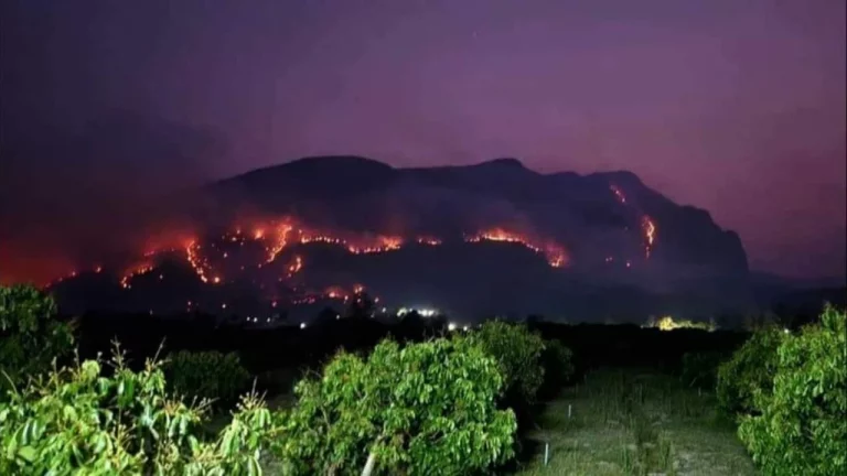 Wildlife-sanctuary-closure