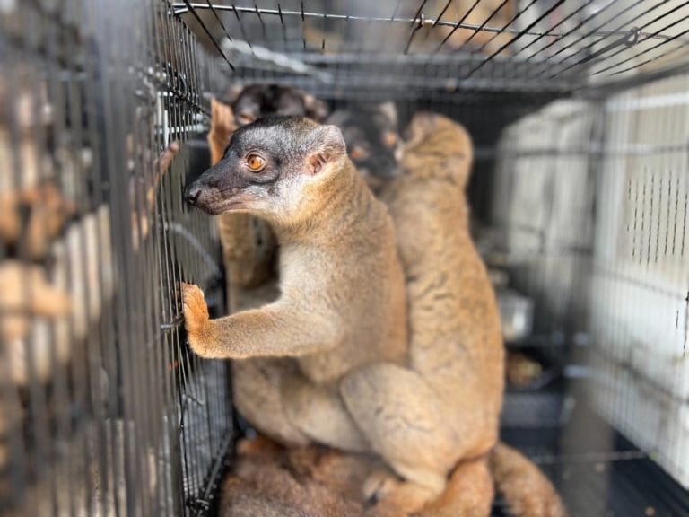 2aYqS0l4EOhseuUiT0LmuqF4UfVt3znc