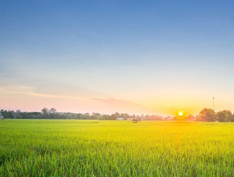 image.jpeg.a2d534e81d4c3e9e29e179b67992657e