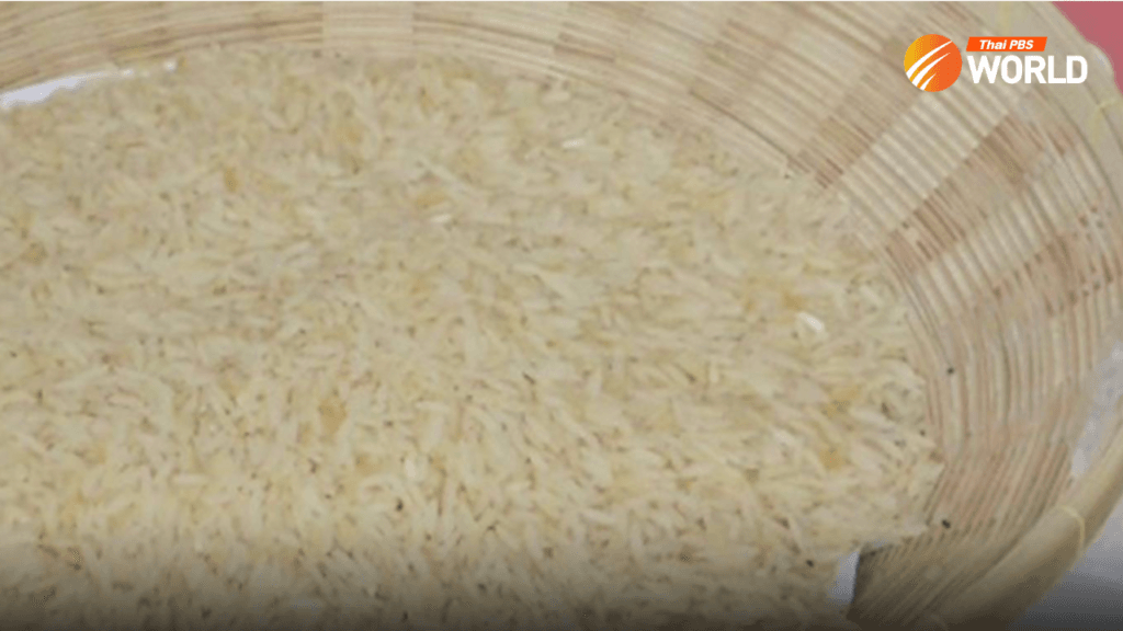rice-web