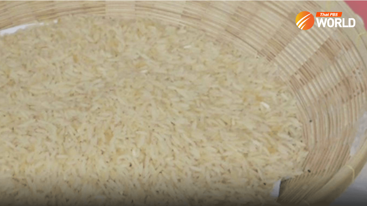 rice-web