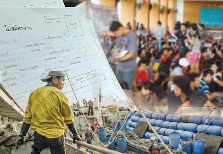 ภาพเด่น-ปูใหญ่