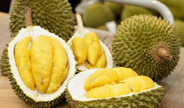 durian-tuoitre