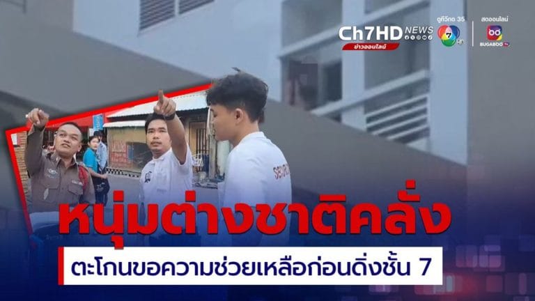 66cfdaac020d99.64194811