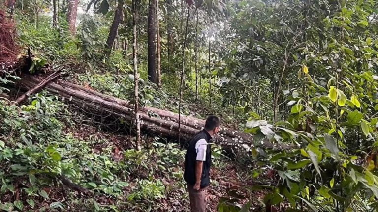 image.jpeg.6798cd842bee4dc830816f83314b4a9b