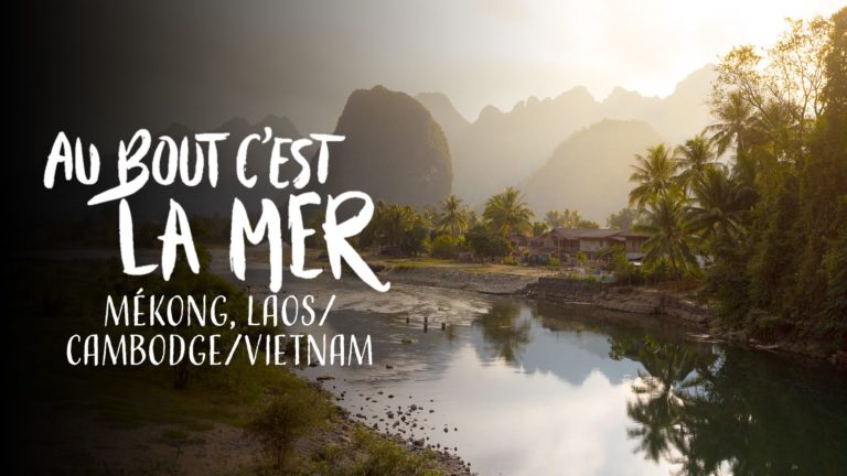 11690eff22526eb98fab9132ea8c0959