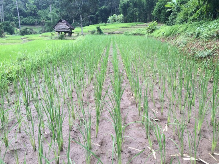 FILE-20170509-0639S68PG51QXND4