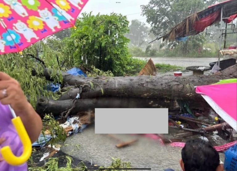 IMG_5471.thumb.jpeg.e91b3dbdeb7d71f9182178b195ff0e99