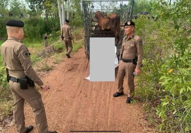 IMG_5735.thumb.jpeg.b9900f9212d93581d151a27f4000cfcb