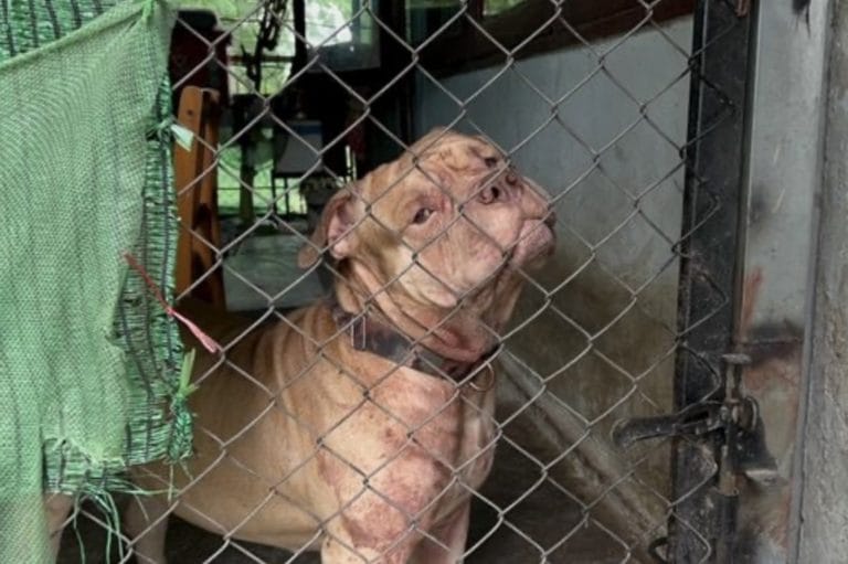 IMG_5989.thumb.jpeg.14ad2c83cdd1535e706b92d6e469165b