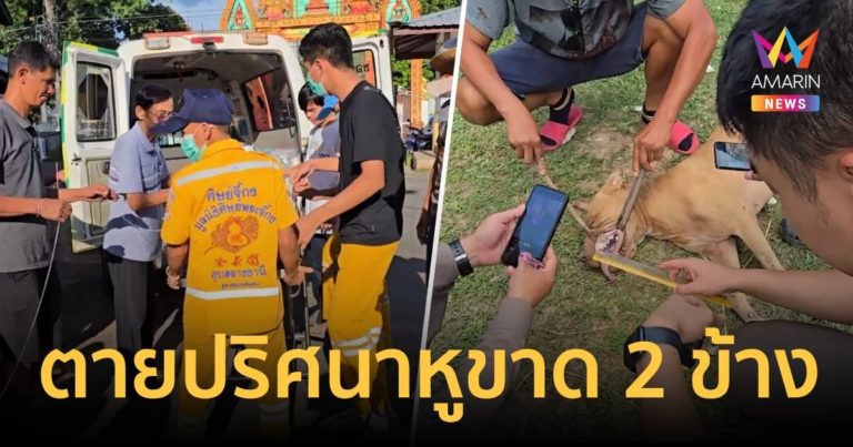 newsweb_16-9-2024-09-27t11