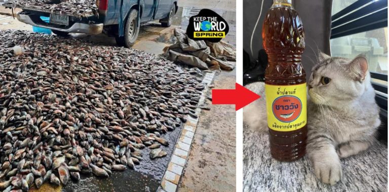 450650516_3096113560519257_5966341003636780088