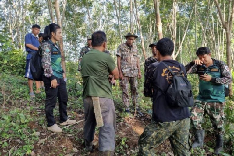 IMG_6664.thumb.jpeg.02a6a1947647de1a9d5e37b2587aed0a