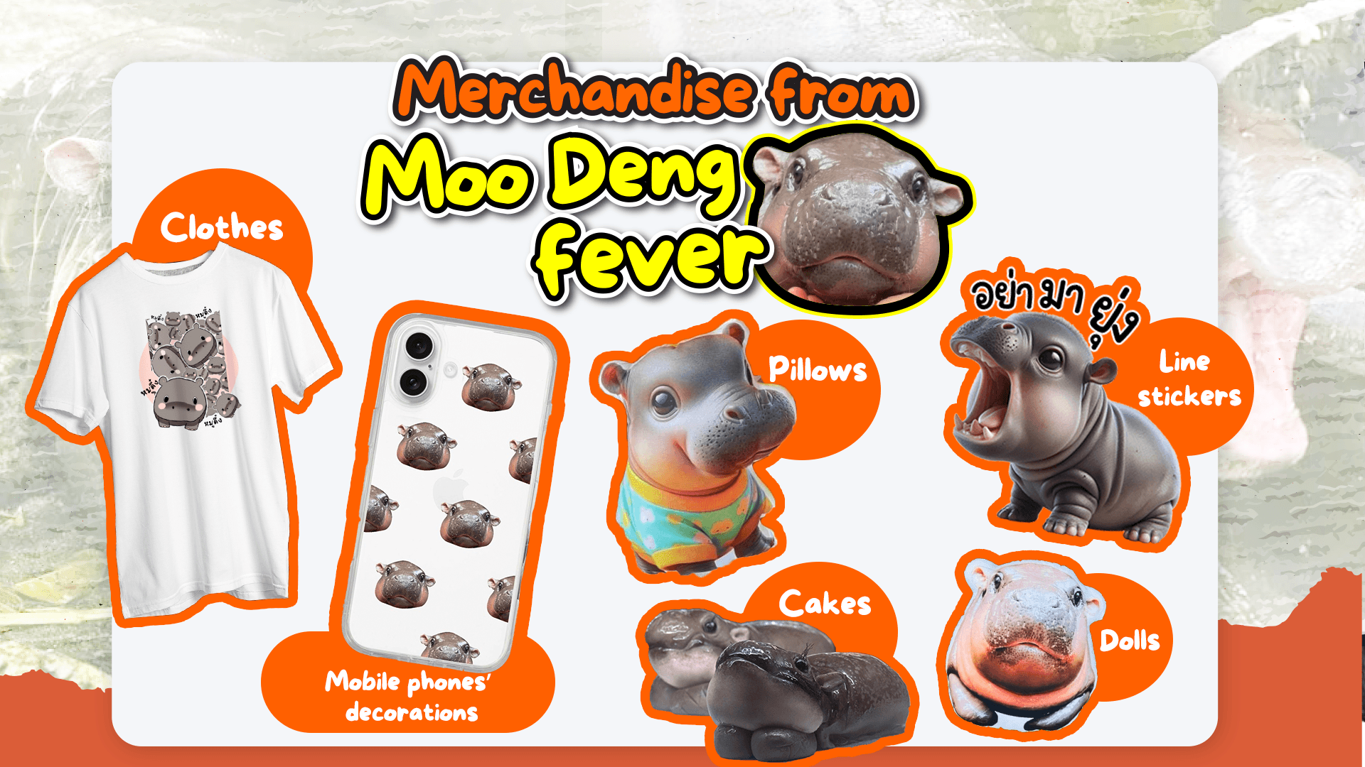 Moo_Deng_397531a22d