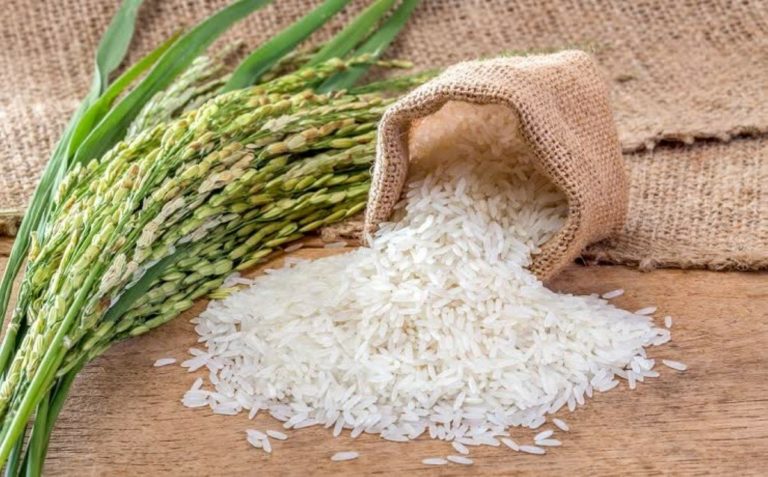 rice-1