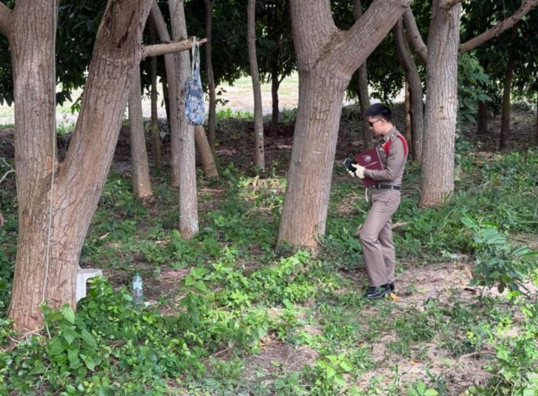 IMG_8621.thumb.jpeg.509cc8717b7c36273704c7c9151ac84f