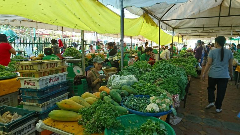 vientiane-organic-market