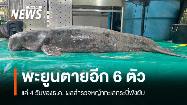 2aYqS0l4EOhseuUiThcEixqFeMz1nHW3