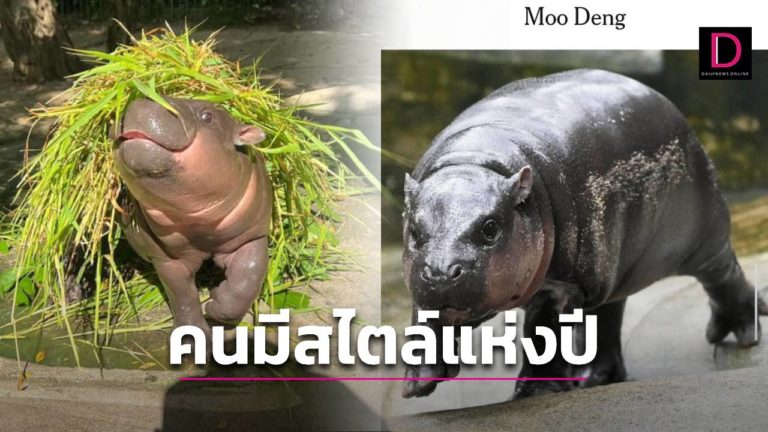 Cover-Template-1280x720-New-1-15