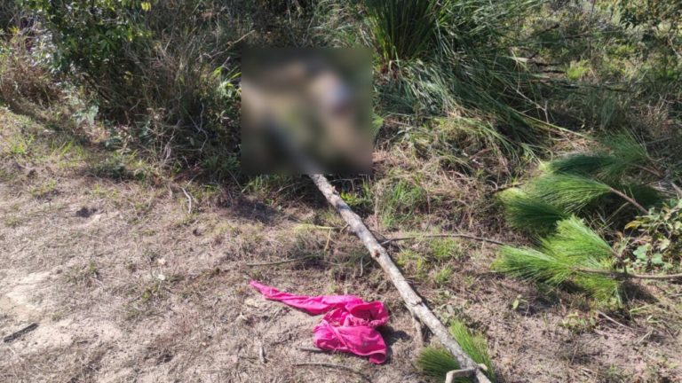 S__12615914_0-1280x720