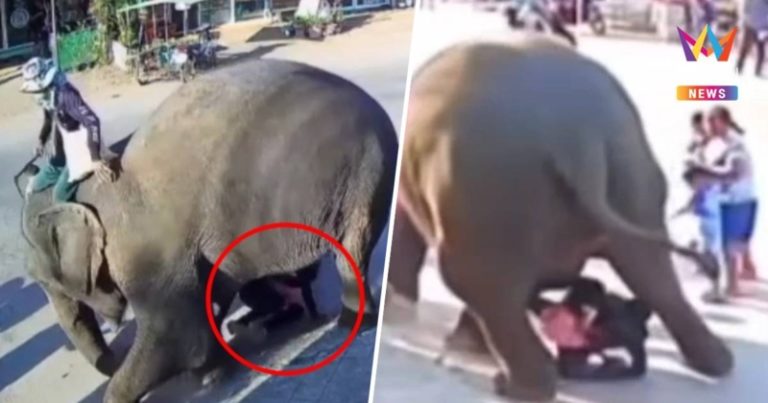 Dpe4A5wywPe4yvzpfd0ovBxZXNP7SS7HfDwQkkFUNQcmkEJxcPT0GYqhkOtslVlOd