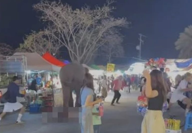 IMG_2059.thumb.jpeg.76650cc340e58baf41f3f63ae5241f2b