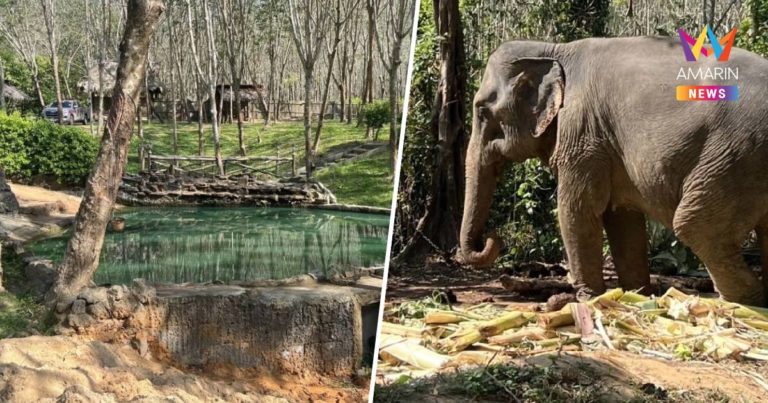 PJVlR0ljpN9olyx2fn247TveWG8vefxPTIgNYitBhPh9xWW5aiexU4zKInWRNwC0hf