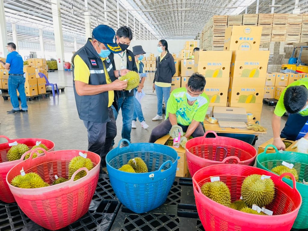 durian-test