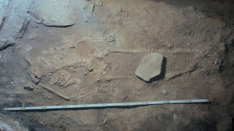 2025_02_24_T165759_011_21359cd404