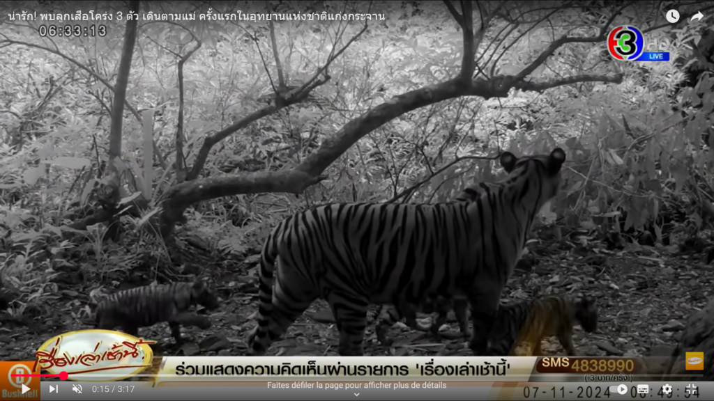 Screenshot (19)