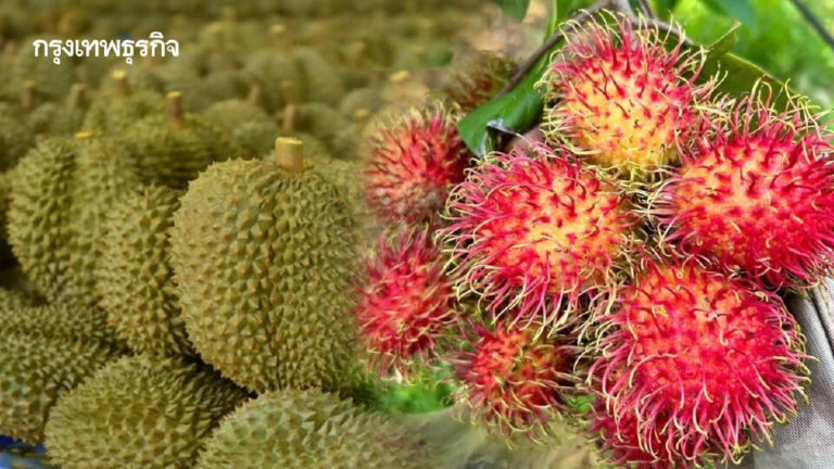 ZqBMCtGSvj7FYnBAHjQi