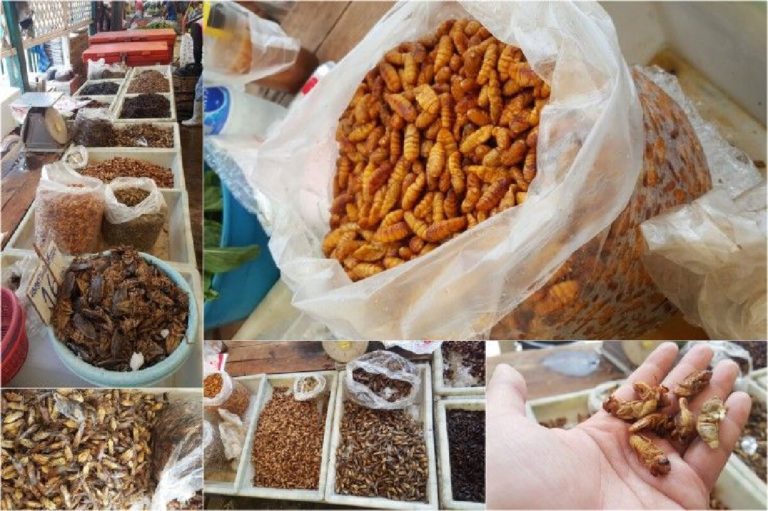 230E81E0F32948659BF6BB98C4EB7603