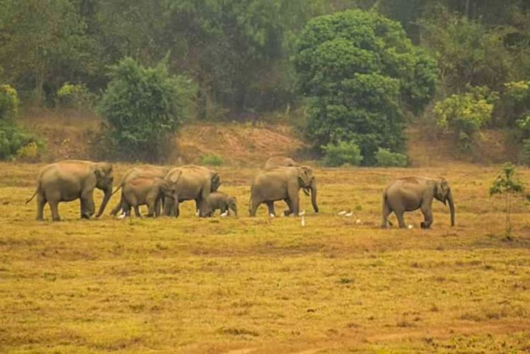 f9ae9b27d534460ca29720cec81dc6d2