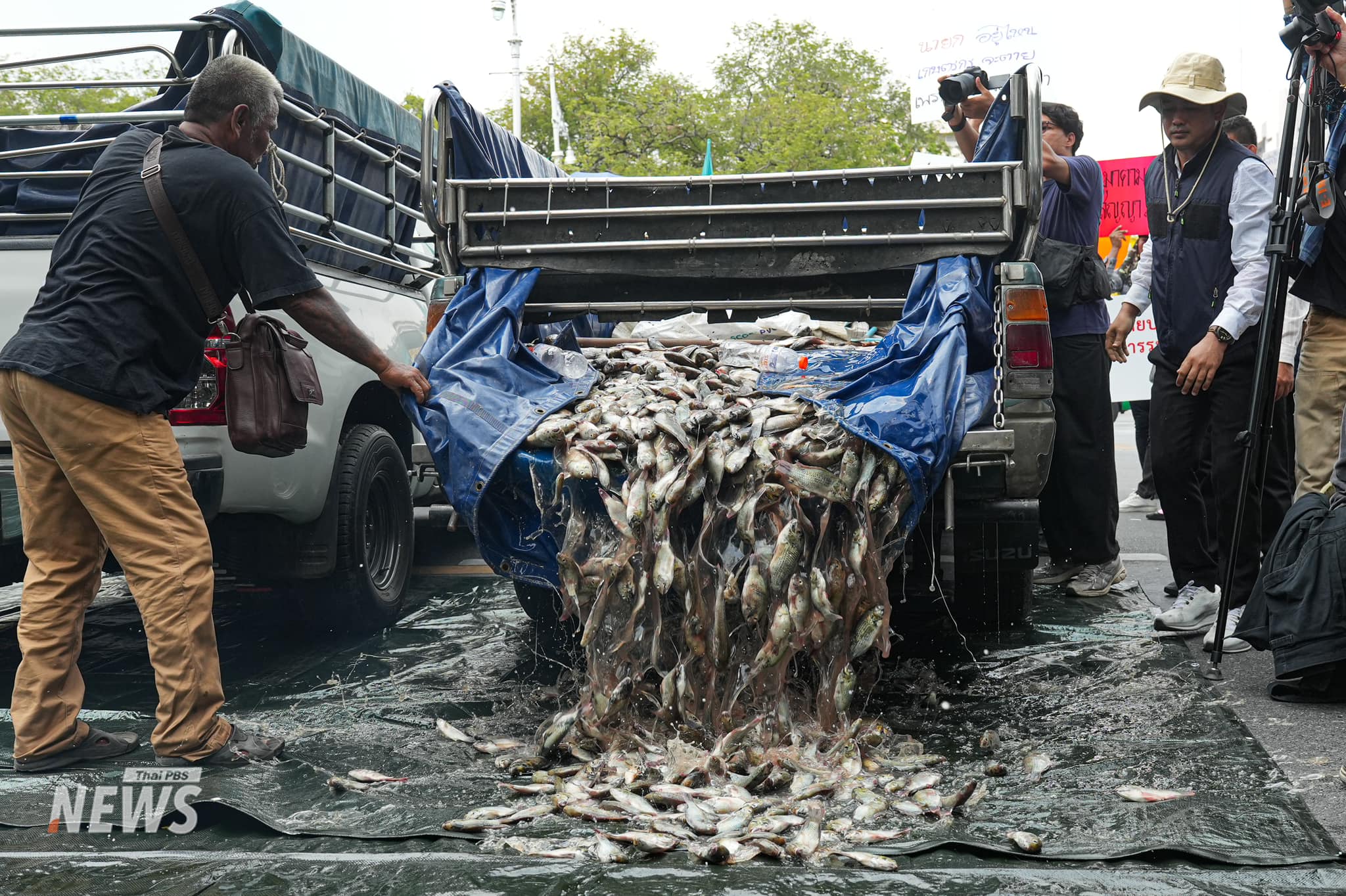 fish2_583635a0c1