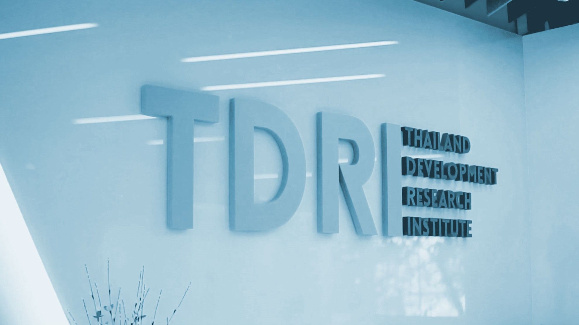 tdri_5d219de4b1