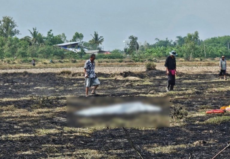 image.jpeg.27018eb9ee8e677ba7d3ac632ffdbf86