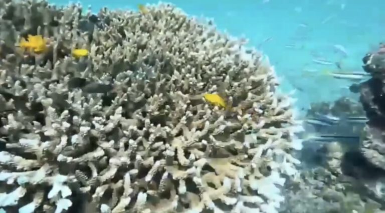 news33246_pGNw8q72ig1744794218