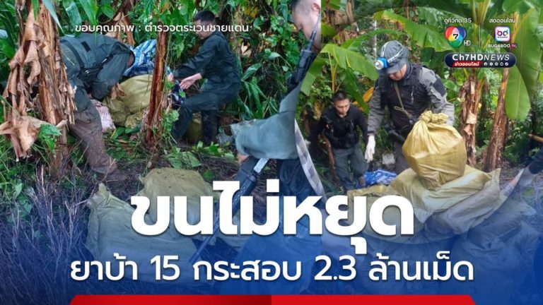 6837eae469f447.17197785