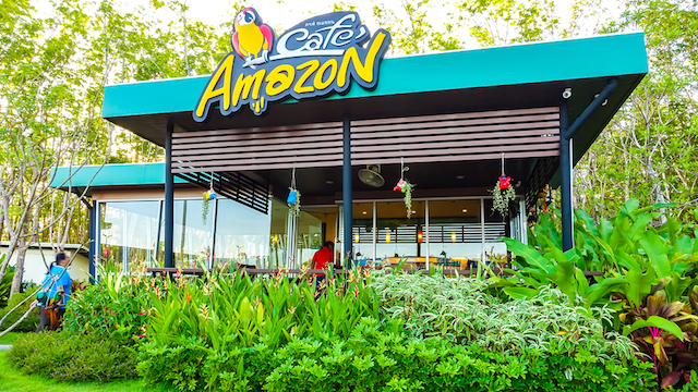 Amazon-cafe