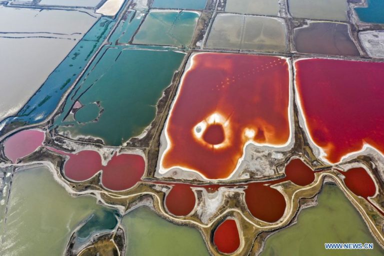 139985169_16226313327701n