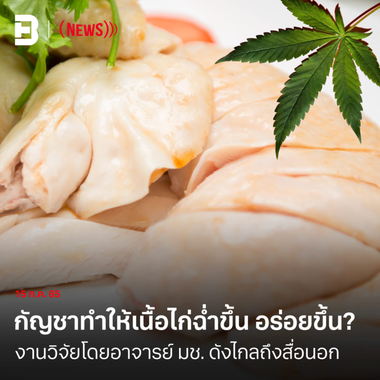 482025166_4226804284311758_1618252727742921418_n